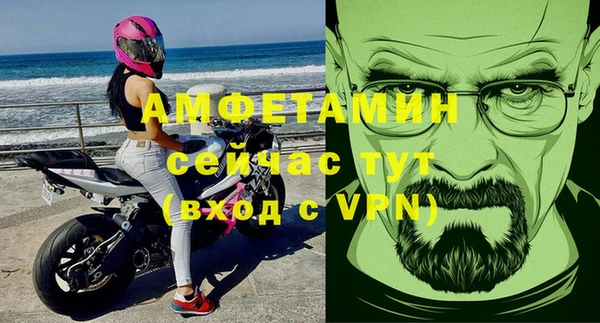 трава Сатка