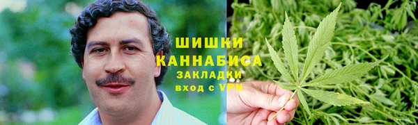 трава Сатка