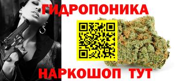 мдпв Татарск