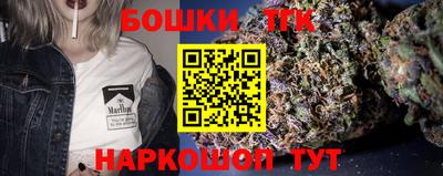 мдпв Татарск