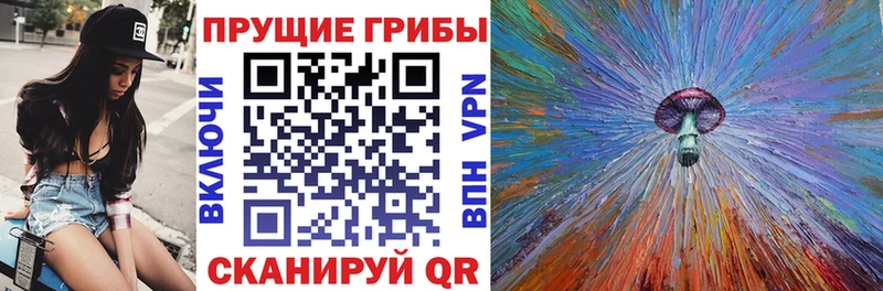 darknet официальный сайт  Новоуральск  Псилоцибиновые грибы Magic Shrooms 
