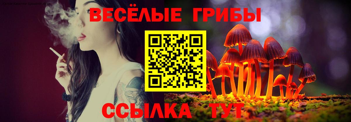 Новоуральск  Галлюциногенные грибы GOLDEN TEACHER  Вход с VPN 